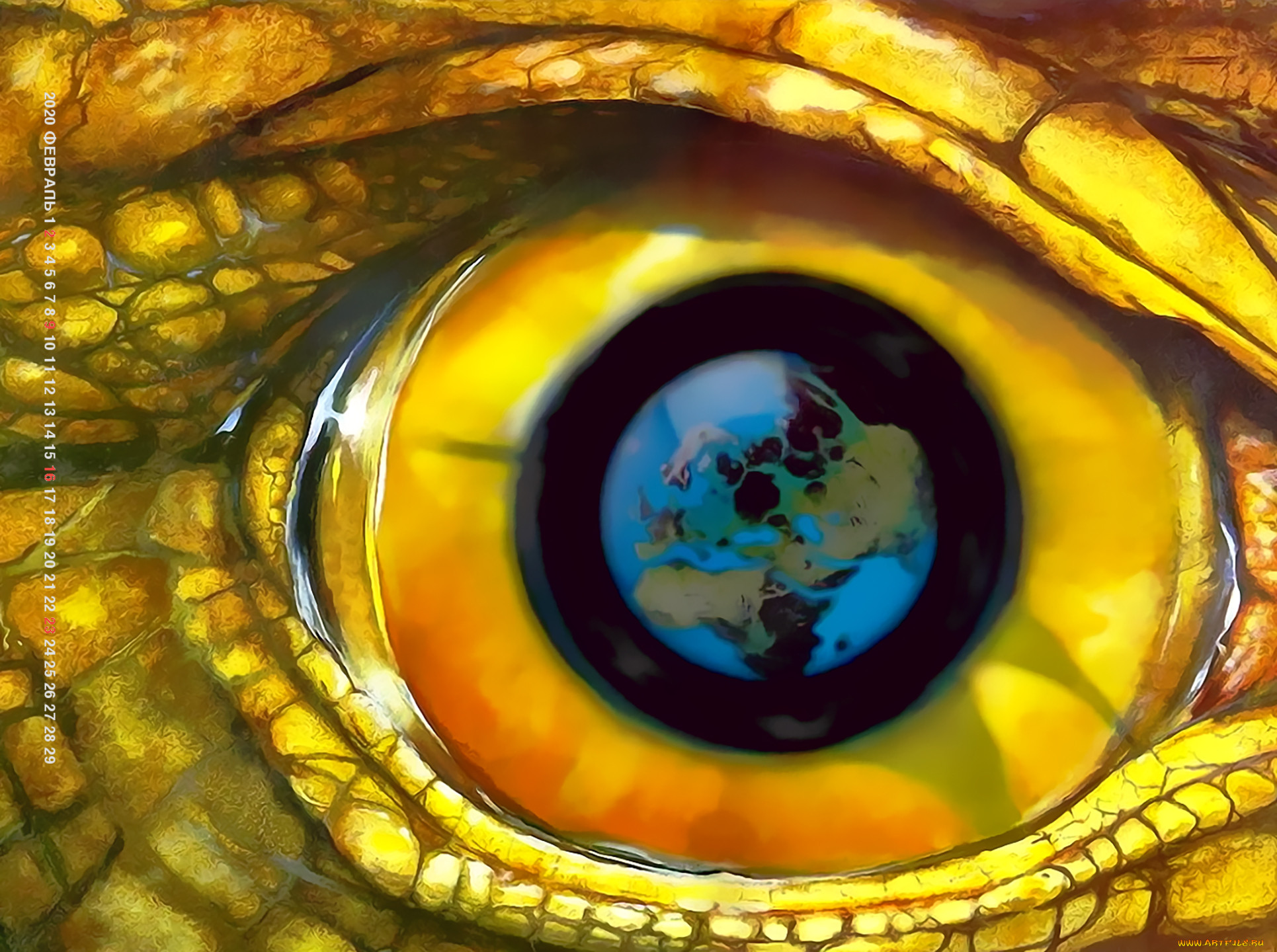 Глаз дракона фото
